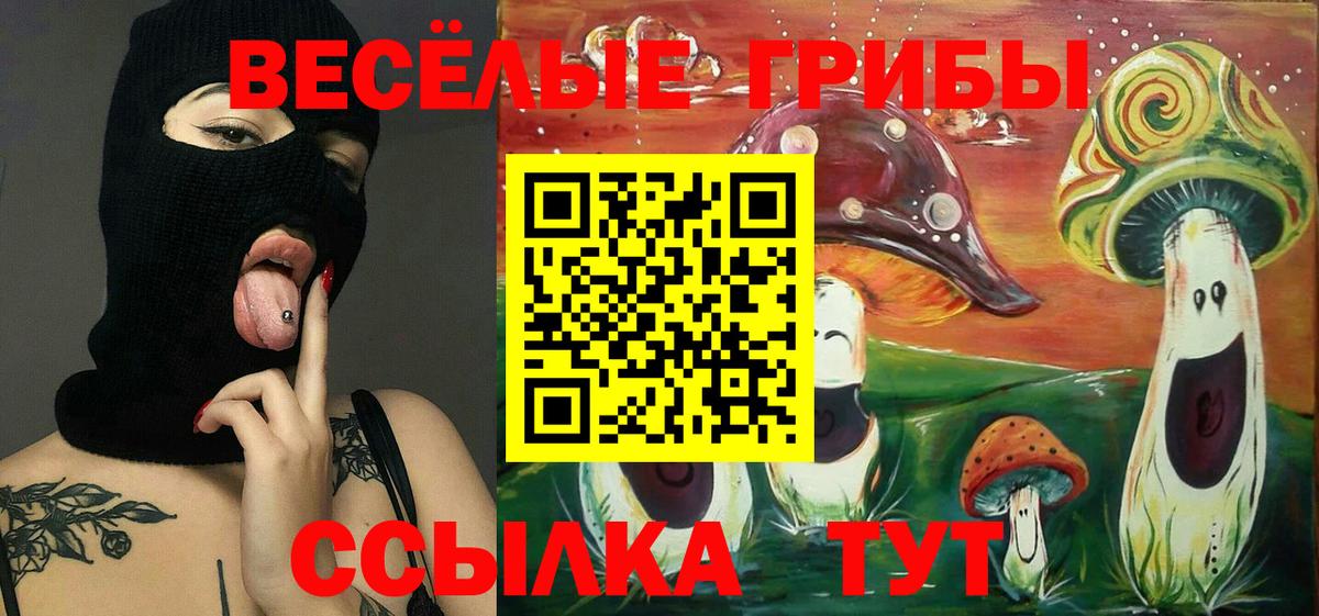 Галлюциногенные грибы Psilocybine cubensis  Вход с VPN  Канаш 